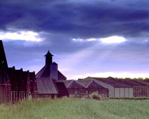 distillery click to visit website