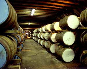 casks maturing visit website