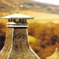 Pagoda picture