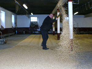 Whisky Tour maltings